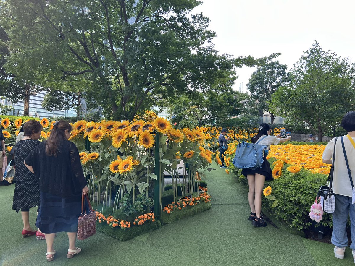 tsukihono's tweet photo. 大名古屋ビルヂングの5階でひまわりと写真撮ってきました🌻
偽物の花だけど、綺麗でした💖
買ったぬいとも写真撮ってきました😊
 #焔夏の日常 https://t.co/q3cDHHw0pQ