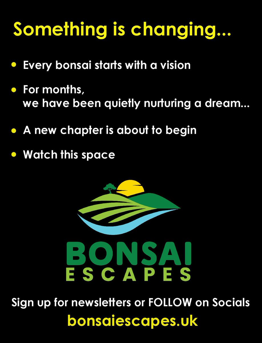 BonsaiEscapes's tweet photo. https://t.co/zvrsS3g0aD