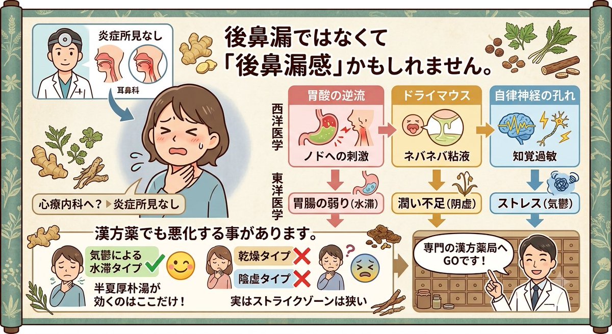 mizuho_kampo's tweet photo. 後鼻漏で悩んでいるのに耳鼻科に行っても、炎症所見はない。
あまり何度も訴えると心療内科を紹介される。
それは後鼻漏ではなくて「後鼻漏感」かもしれません。

西洋医学的に見ると、隠れた原因として
・胃酸の逆流（ノドへの刺激）
・ドライマウス（粘液のネバつき）
・自律神経の乱れ（知覚の過敏）
などが潜んでいます。

これを中医学の言葉に翻訳すると、「胃腸の弱り（脾虚）」「潤い不足（陰虚）」「ストレス（気鬱）」となり、実はアプローチ方法は同じになります。

病院では「半夏厚朴湯」が出される事が多いですが、半夏厚朴湯は気鬱による水滞からおこる後鼻漏感にしか効果がないので、実はストライクゾーンが狭い漢方薬です。
誤った漢方薬を飲むと後鼻漏感が悪化する事もあるので、お悩みの方はご近所の漢方薬局へGOです！