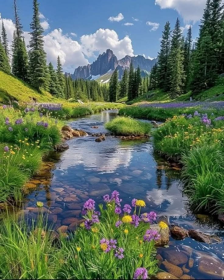 Cities56's tweet photo. Grand Teton National Park 🏞️ https://t.co/9pFpEx4UzC