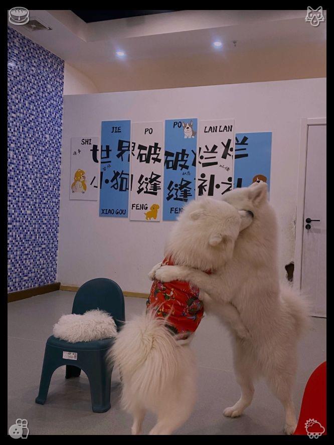 Bunny2197's tweet photo. 🧮English lesson Learned new words880669 https://t.co/S7K9c3taF9