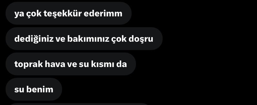 chrysalistarot's tweet photo. bebeksiniz🫂🤍
etkinlik donus🌸 https://t.co/jadYGNkgxE