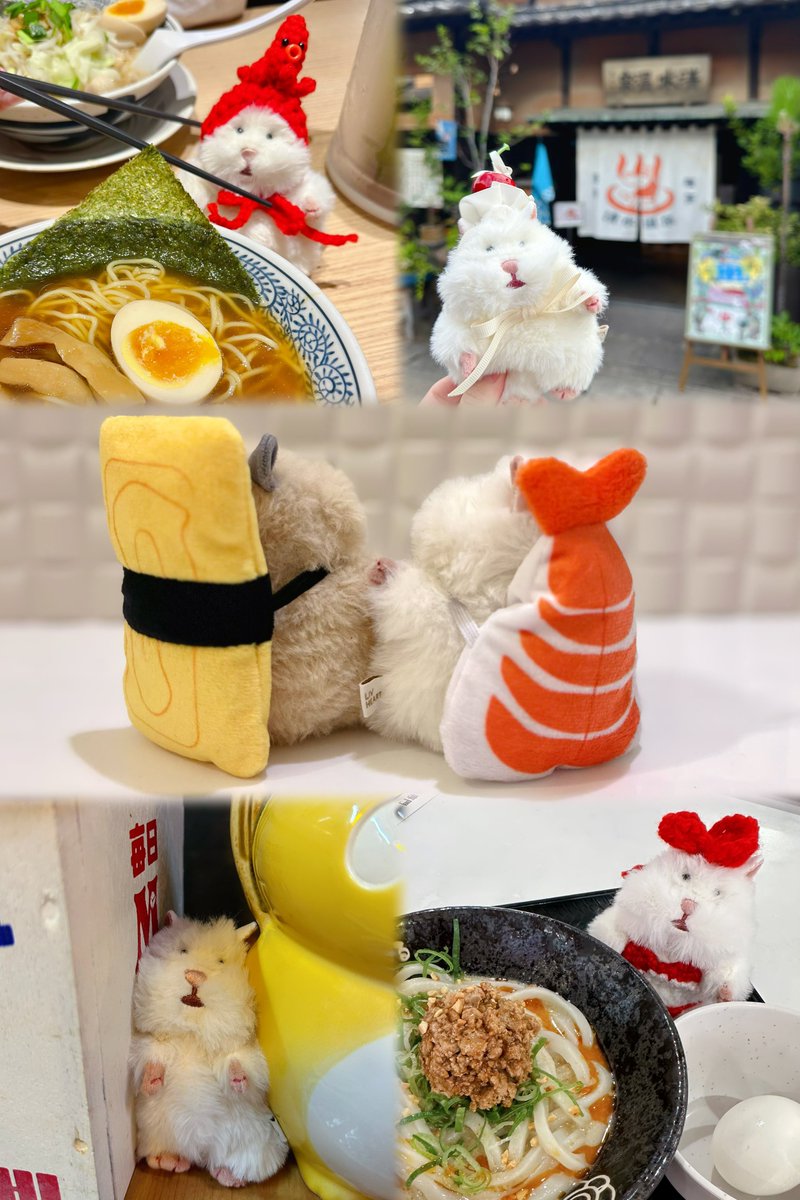 ___O28O2___'s tweet photo. 最近のハム活🐹⭐️ https://t.co/PUm3dVkvrd