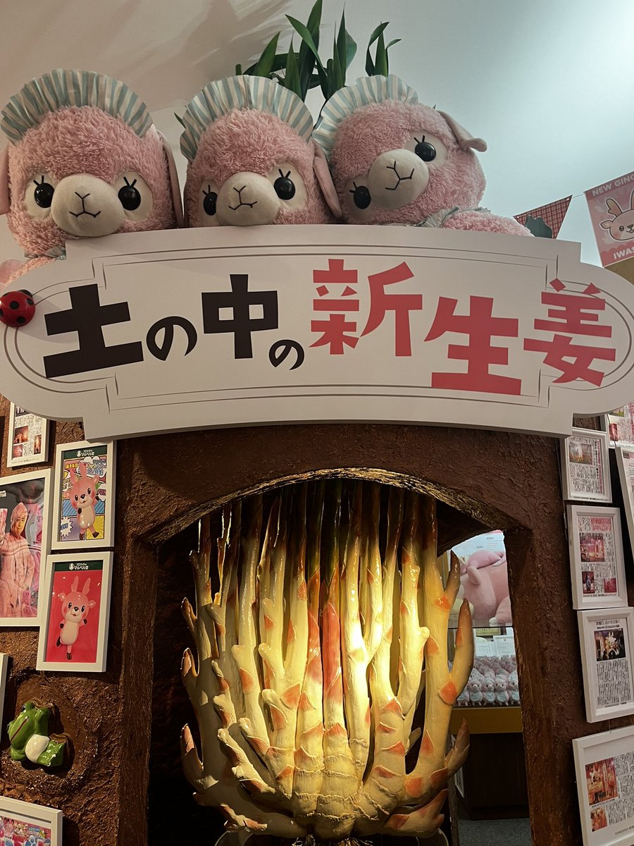 m21685293's tweet photo. 昨日御老公を去り、みんなで新生姜ミュージアムにいき山岡家に連れて行ってもらった✌️
なんかちんこだったな〜
山岡家さんはじめて！うますぎ最高
みんなありがとうね😻😻😻 https://t.co/nHsxlAd6Yz
