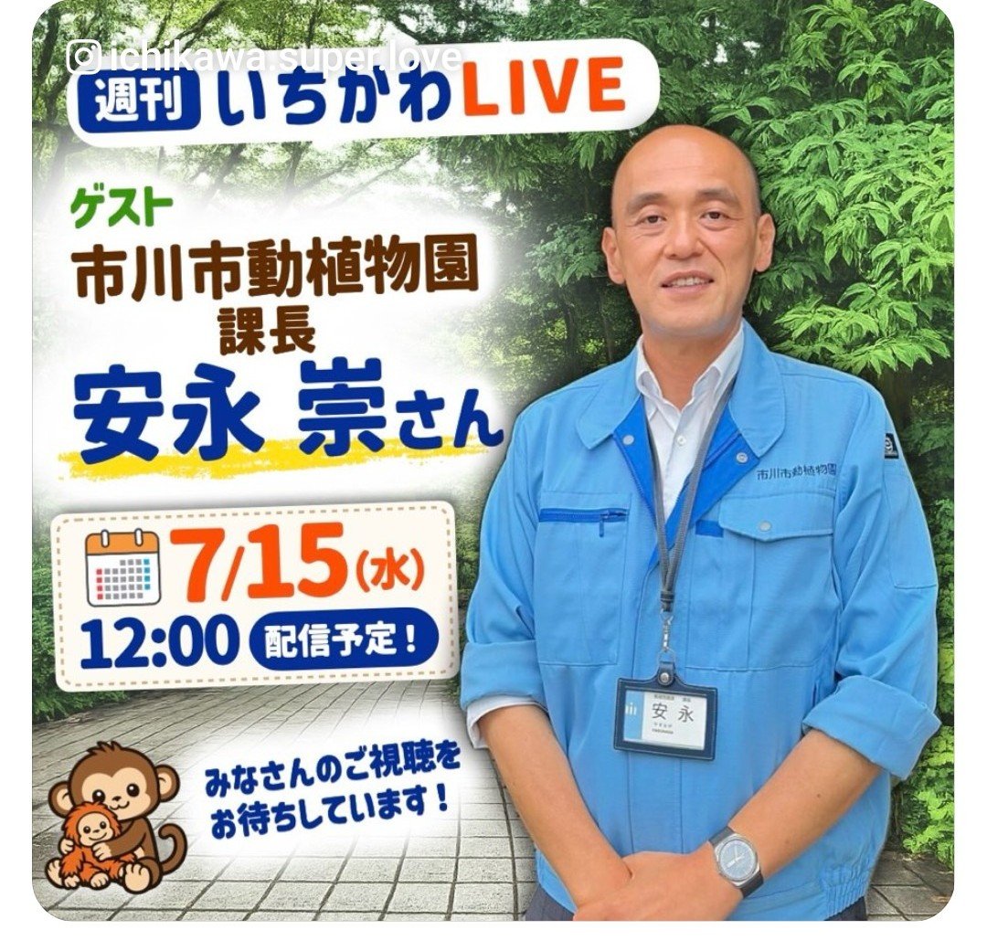🐥チョコ🐥 tweet media
