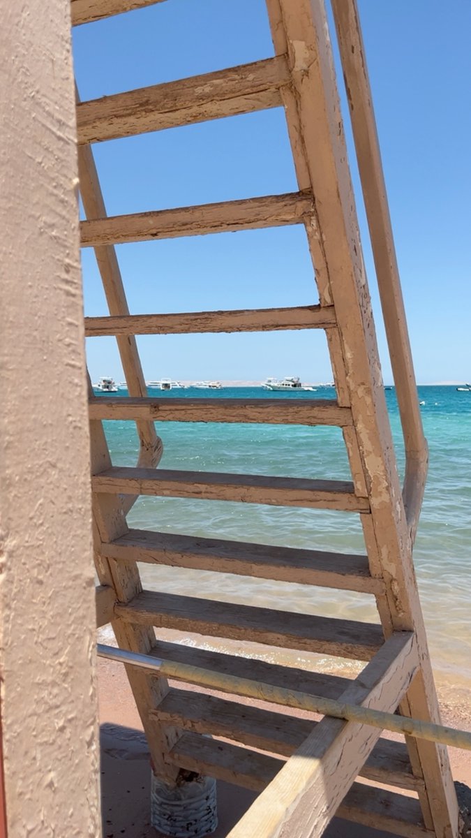fulyacanova10's tweet photo. Red Sea. https://t.co/EnZpDpr25N