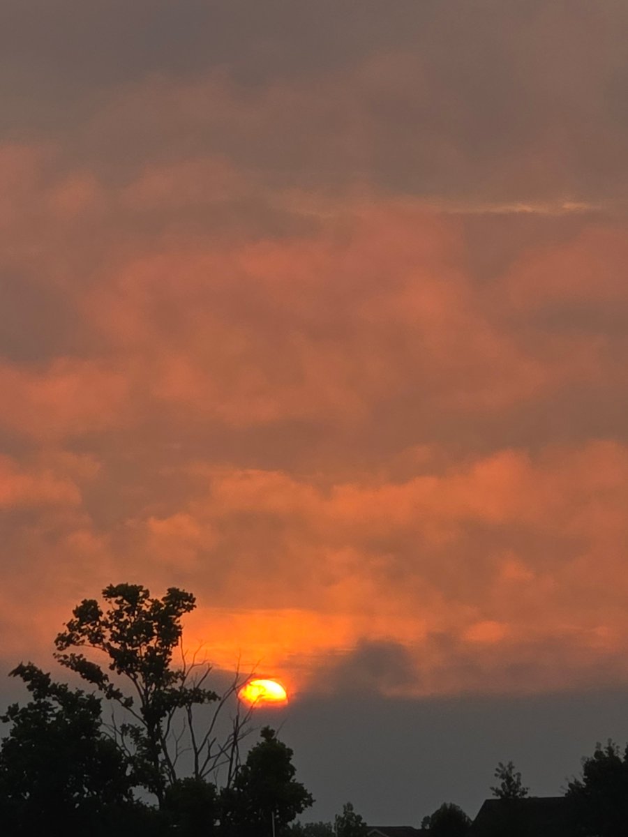 The_Catleesi's tweet photo. Steamy summer sunrise run 🌞 https://t.co/xS2BrpuDq9