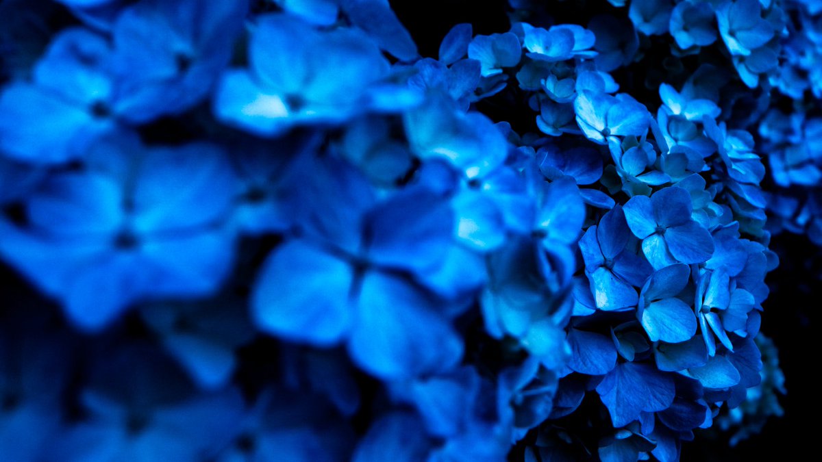 gustfronty797's tweet photo. Silent blue https://t.co/HjotCz1khQ
