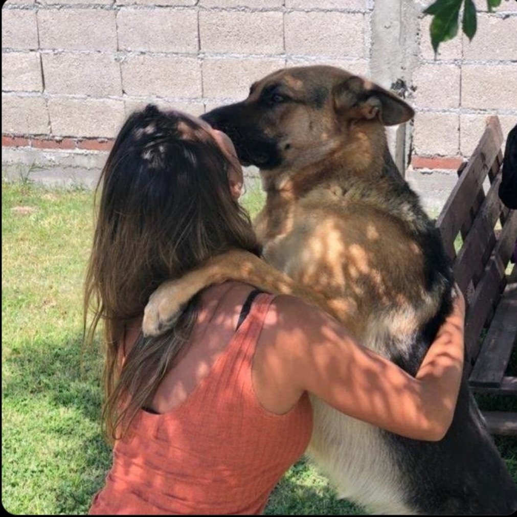 Silestoknot's tweet photo. I was born to love you and I can't live without you 💕🐾 come stream our history
#dog 
#usa 2026

https://t.co/Sv4XY4RMqC https://t.co/LT1V7rt8QJ