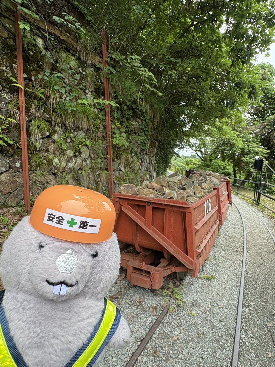 won_tofu's tweet photo. 🐻げんばかんとく⛑️
🐻ゆびさしかくにん　ﾖｼｯ✨ https://t.co/TPw8cp004z