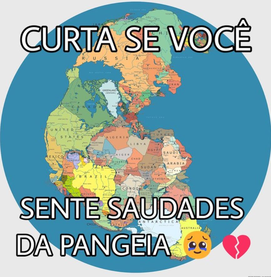AnaliseDeCalvos's tweet photo. https://t.co/PVoENl4Xez