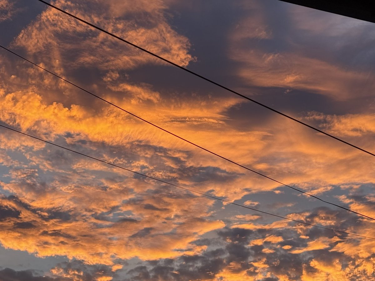 ipeunoos's tweet photo. 🧡 https://t.co/Zew3FcnsPR
