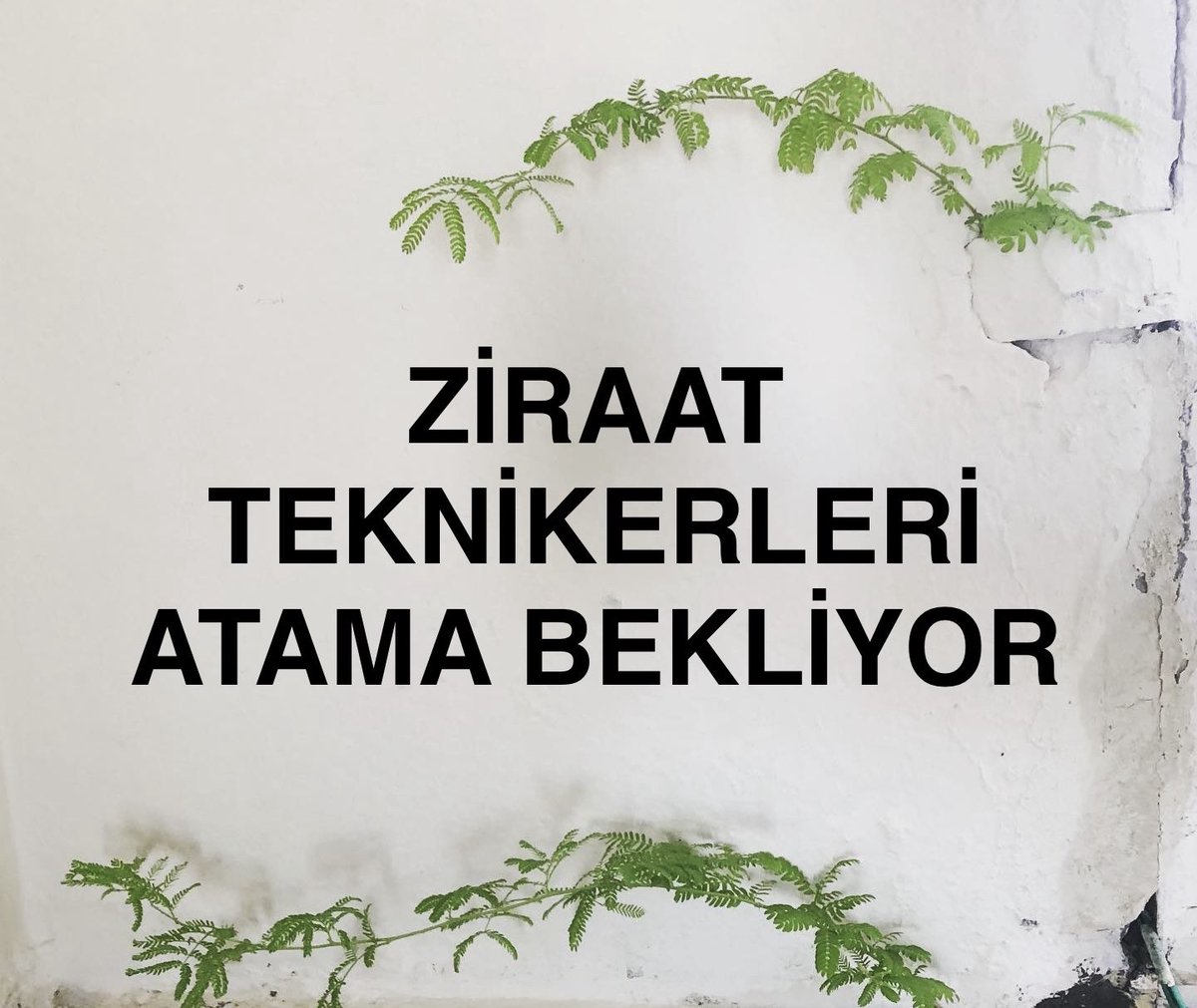 ziraattek's tweet photo. @huseyinozturk_1 Sayın bakanım 2020-2022-2024 Kpss ile  Tarım Bakanlığı'na ziraat teknikeri alınmadı, puanlar boşa gitti. DSİ, TÜRKŞEKER, TMO, TİGEM gibi KİT'lerde teknikerlere daha çok şans verilmeli! Sesimize kulak verilmeli
@ibrahimyumakli 
@Seyfullahaslntk 
#ZiraatTeknikerleri750AtamaBekliyor https://t.co/cY9fmVJuBc