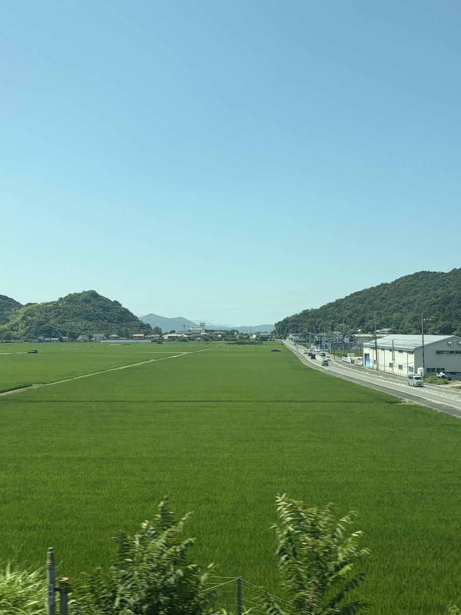 asami_k920's tweet photo. 新幹線の車窓から🚄
彦根城は写真に収めました☺️
観音寺城の幟は見つからなかった… https://t.co/YDmIWXMsHM