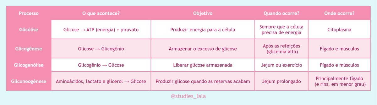 dede ✧・ ESTUDA: DEDEMED tweet media