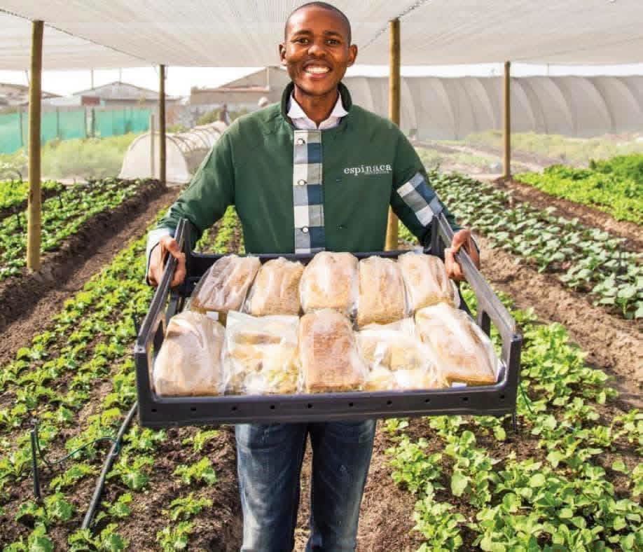 KatlegoMaseng1's tweet photo. From selling bread on the streets of Khayelitsha to supplying major retailers.

Meet Lufefe Nomjana, the entrepreneur behind South Africa’s famous spinach bread. 

Today, his healthy bread is stocked in Spar, Pick n Pay and Food Lovers Market stores. https://t.co/2PRYDW4bjO