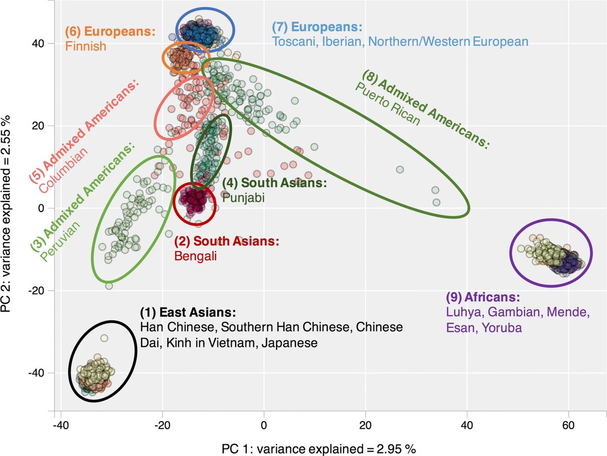 sopbeen's tweet photo. @trevlac80 @Geckoandfly @TheGriftReport No, ethnic groups have genetic differences, but their differences are small compared to their differences with sub-Saharans, East Asians or Australoids.  Look at first pic and tehn second pic. Look at Euro cluster vs cluster distance between Euros and sub-Saharans. https://t.co/ZWiQ1HZNow