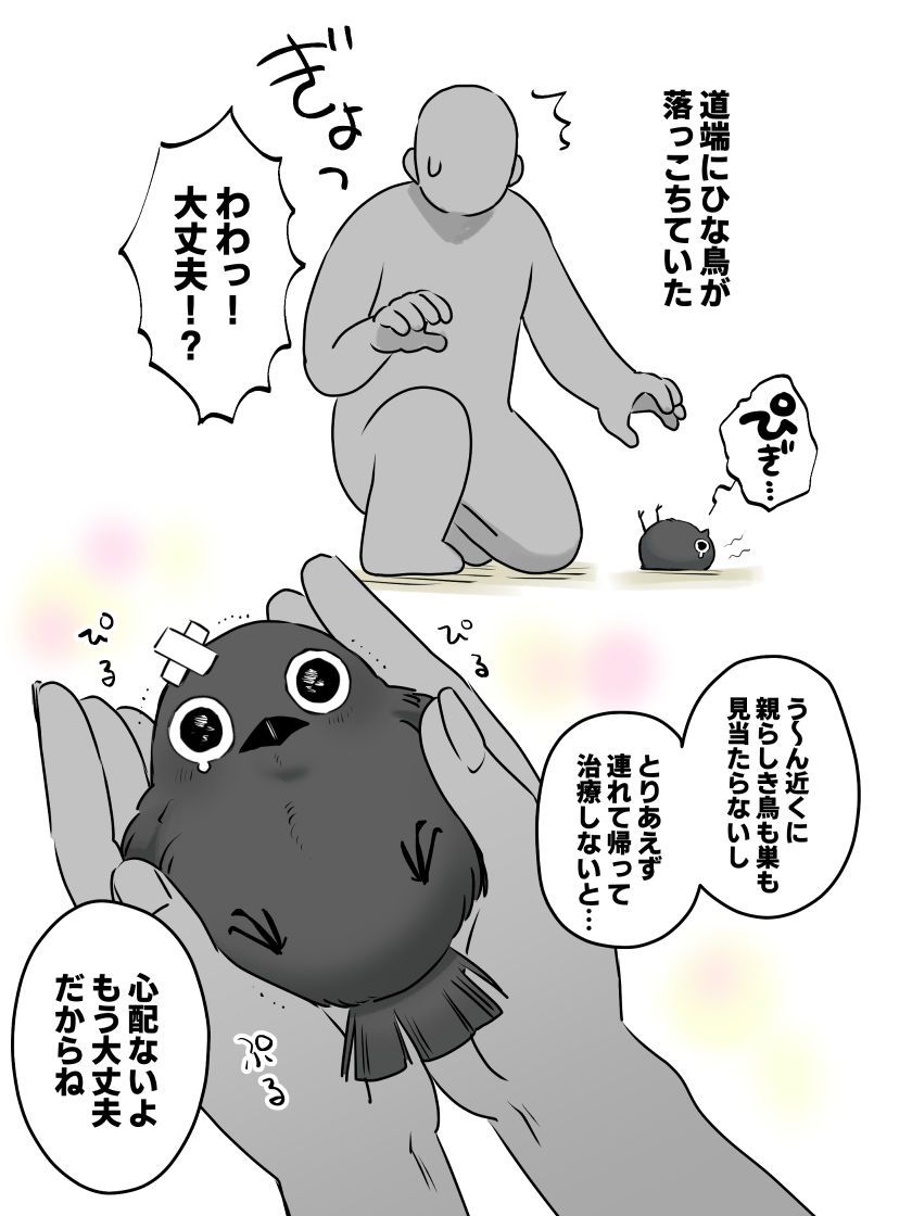 uhouho6514's tweet photo. カラスの子
#人外 #創作 https://t.co/FyQ7q4LlSY