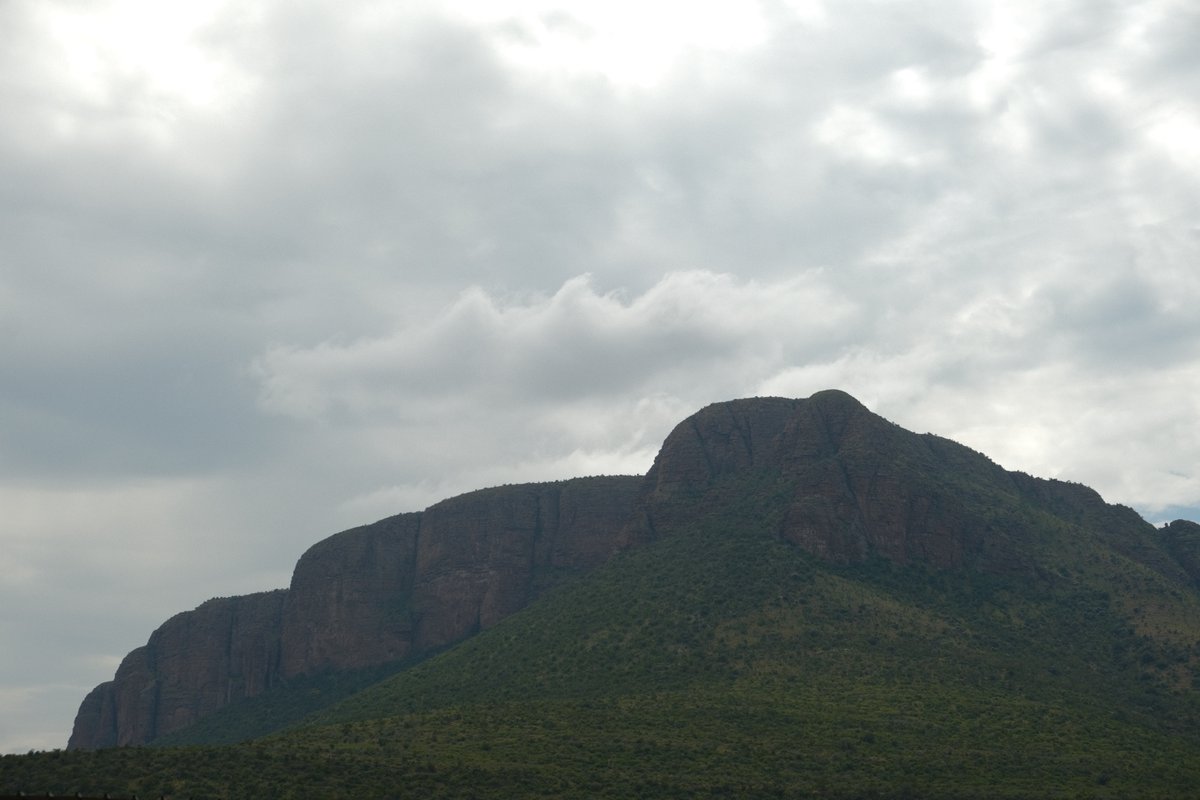 CBG_UofG's tweet photo. The CBG SANParks Malaise Project's next stop is Marakele NP, where South Africa's dry western landscapes meet the greener bushveld. This meeting of landscapes supports remarkable biodiversity, including one of the world's largest breeding colonies of the threatened Cape Vulture. https://t.co/LVyCm0IHkt