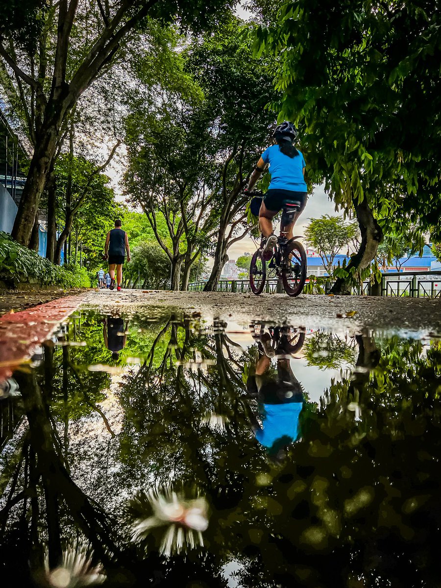 javanng's tweet photo. Dodging puddles and catching views. Just a typical day on the park connector!
#nparkbuzz #loves_reflections #singapore #symmetrykillers #cityvibes https://t.co/UEg8JhAdEg
