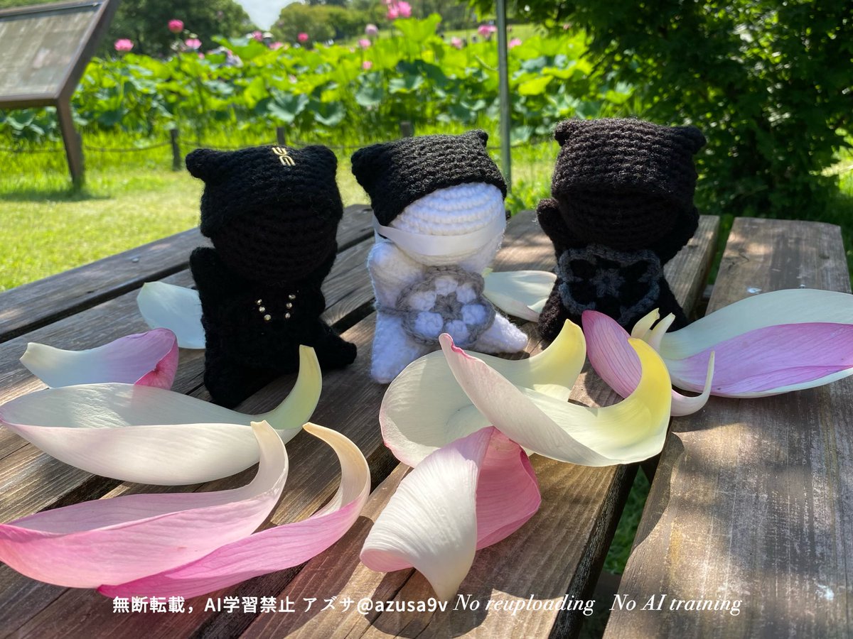 azusa9v's tweet photo. 【埼玉県行田市・古代蓮の里】
蓮と言ったら「陳情令」
以前作った義城の、薛洋ぼぼ・暁星塵ぼぼ・宋嵐ぼぼ
（落ちていた花びらと一緒に）
#CQL https://t.co/1d9KvrkGgD