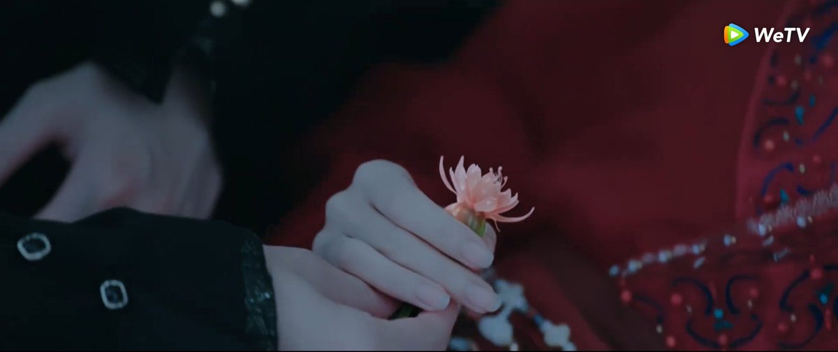 Mybailulu's tweet photo. Happy watching guys <3
────୨ৎ──── #BlossomOfPower🪷 https://t.co/8qXPgmXJRN