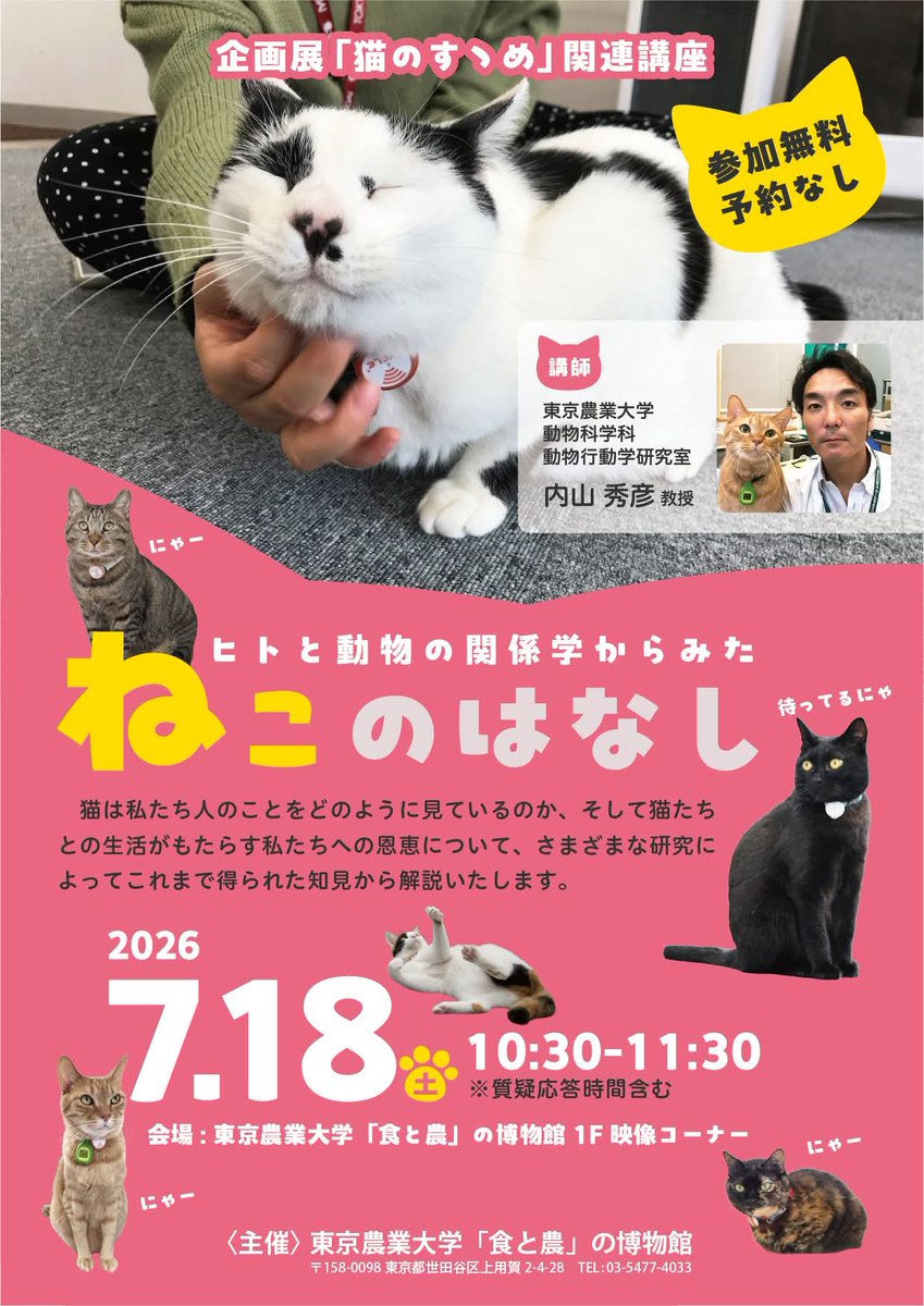 企画展「猫のすゝめ」関連講演『ヒトと動物の関係学からみた 「ねこの