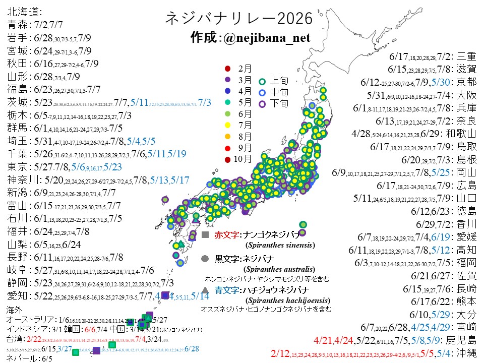 nejibana_net's tweet photo. 【拡散希望】ネジバナリレー2026を更新しました【7/9】
ネジバナやナンゴクネジバナ、ハチジョウネジバナ等の花を見かけたら、花の写真と撮影日、撮影した区市町村名、#ネジバナリレー2026 を付けて投稿してください。DMでのやりとりも可能です。 https://t.co/wDmuPaKfkz