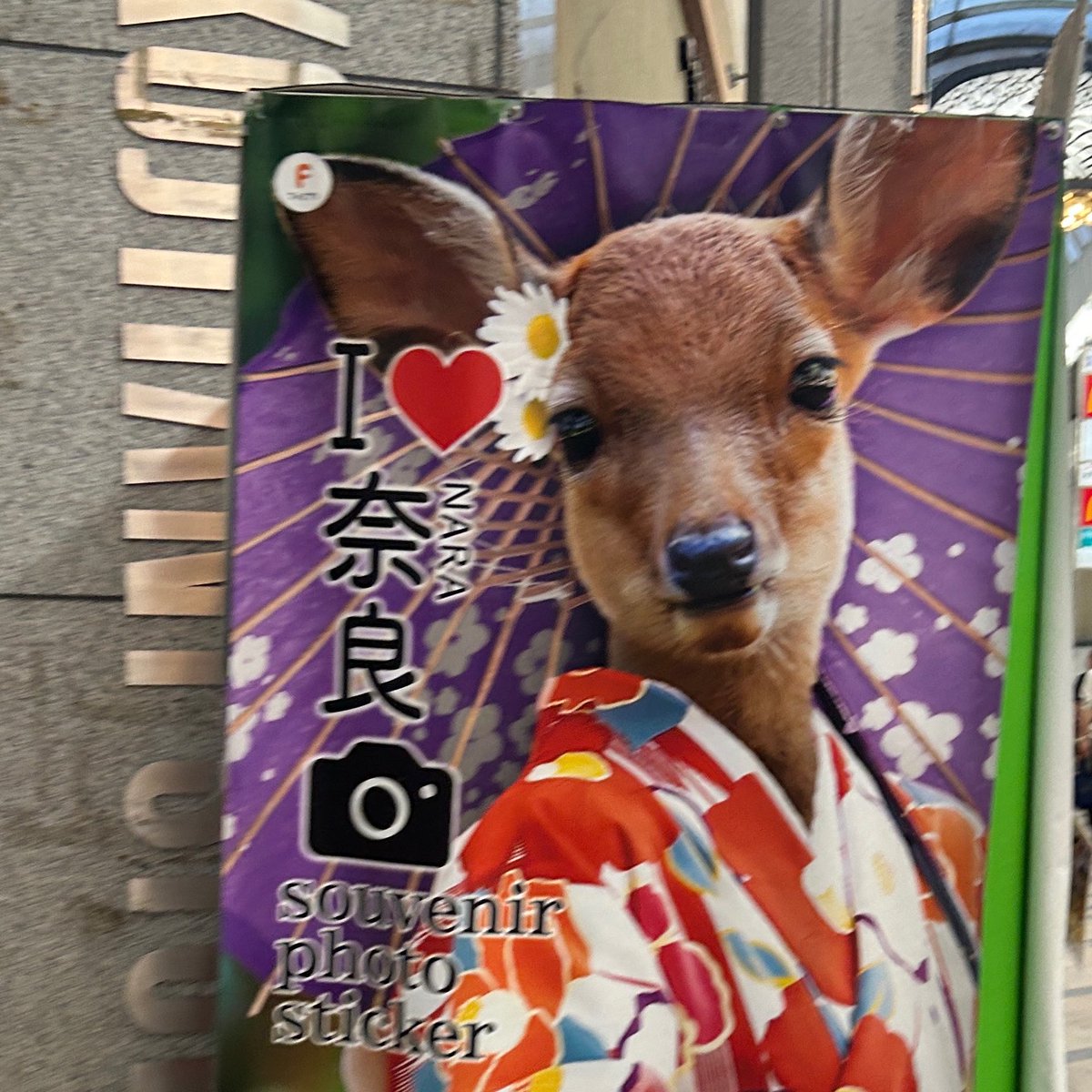 tarowarataro's tweet photo. 奈良楽鹿った🎶
広告みて泣きそうなったいち♪おめでたいち♪

#たいちいつもありがとう
@_happytaichiday 
@taichi_bdpjt 
@taicheese0711 https://t.co/PMlX8zFw2s