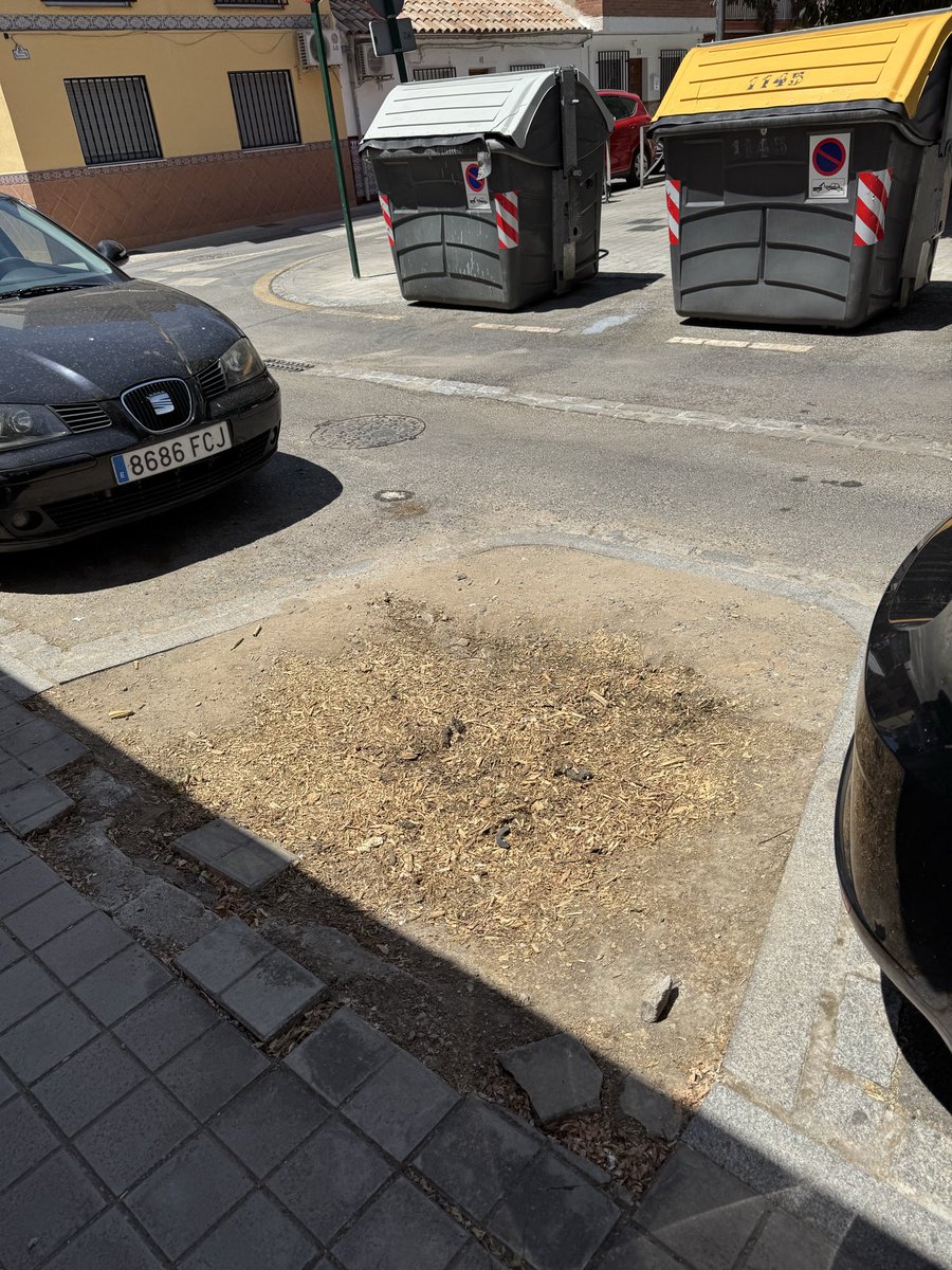 IrimGL's tweet photo. @aytogr @marifrangr o esto… 3 años llevo pidiendo que repongan los árboles! Y no solo no lo hacen sino que cada vez faltan más, porque claro se deben pensar que son de plástico y no necesitan agua… que vergüenza! https://t.co/KQ22FhOror