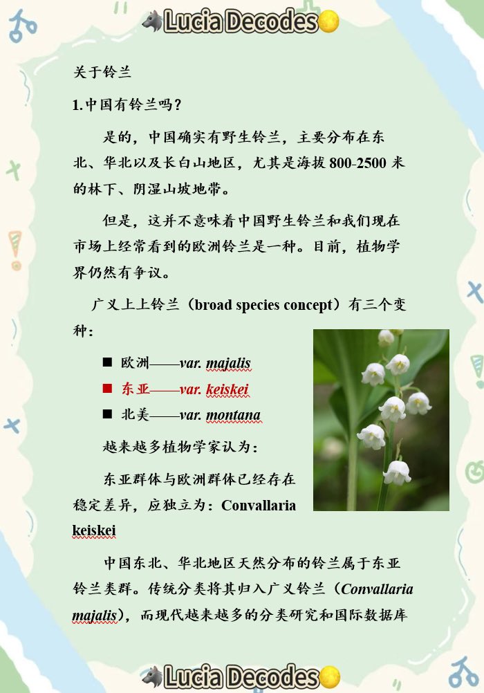 Lucia Chan tweet media
