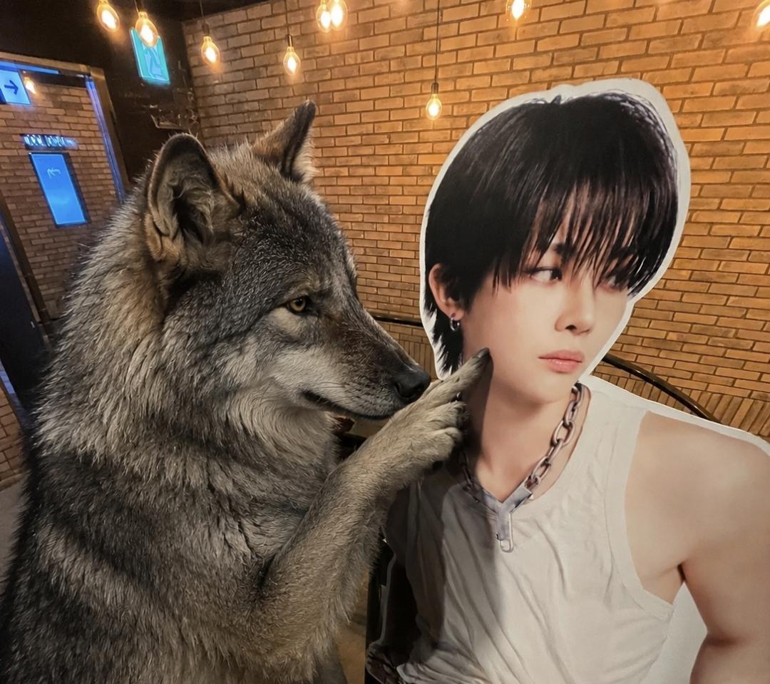 chuS2cream's tweet photo. #오늘의_비밀임무_니코생일_축하 
#Whenyourewaitingforthebirthdayofnicholas 
#天才天使王奕翔生日快樂

항상 행복하길... 🥹♡ https://t.co/YQGCdGVjYp