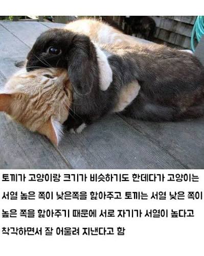 dailysubakbot's tweet photo. 멜쭌 https://t.co/8NJIiItB8d
