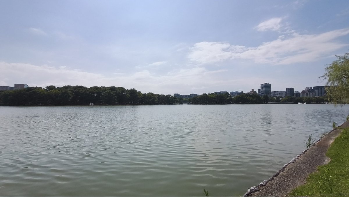 k859_audio_life's tweet photo. こんにちは。
今日は、休みなので今、大濠公園で散歩してます。
福岡は、梅雨明けしたと思ったらすぐにものすごく暑くなりましたね。
写真は、Redmi Note 15 Pro 5Gで撮影して��す。
#大濠公園
#REDMINote15Pro5G
詳しい詳細は下のリンクから
https://t.co/2IbxlvK9Kj https://t.co/NdRb1kIiBb