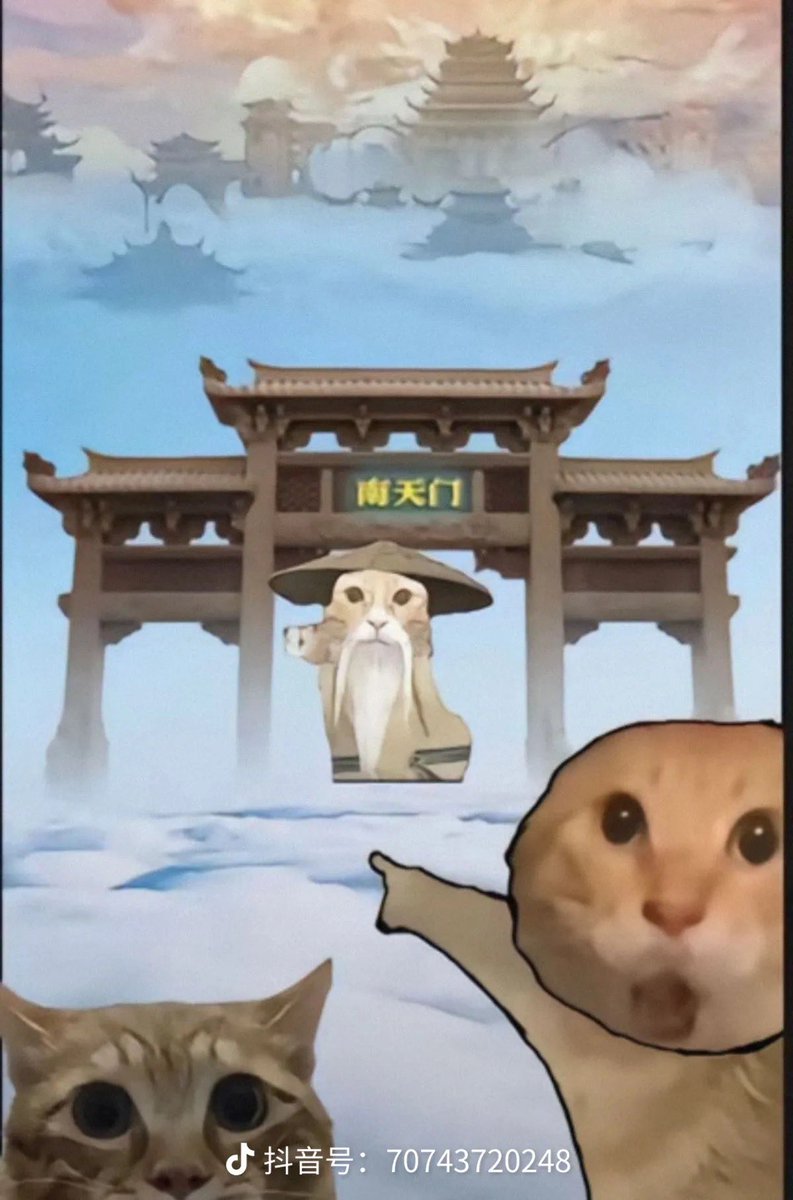 哈基仙人 tweet media
