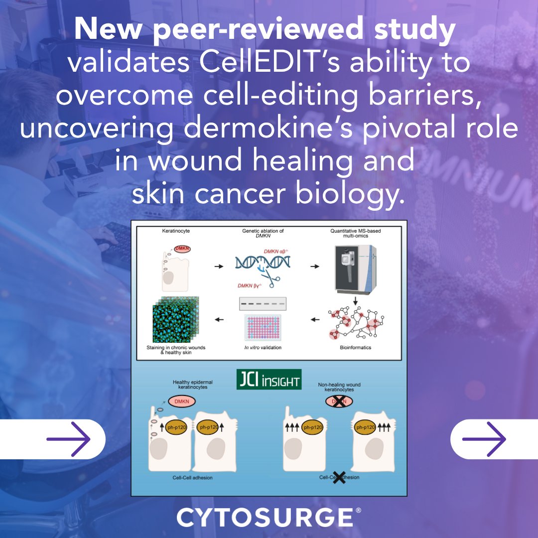 cytosurge's tweet photo. 🚨 New Pub with DTU! Editing fragile keratinocytes is often deemed "impossible." Using #CellEDIT, the Francavilla Lab achieved complex CRISPR knockouts with zero toxicity, uncovering dermokine’s role in wound healing! 🧬 PR: https://t.co/n90M7p7Me7 Paper: https://t.co/ViYIh6uCeU
#GenomeEngineering #CRISPR #Keratinocytes #WoundHealing #Biotech #SkinBiology #FluidFM