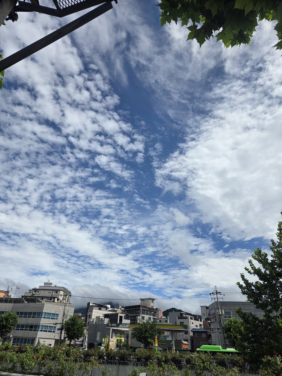 jutopia_901's tweet photo. 비 엄청 맞고 일했는데...
언제 왔냐는듯한 하늘이네... https://t.co/Vl0Fm2NNUM