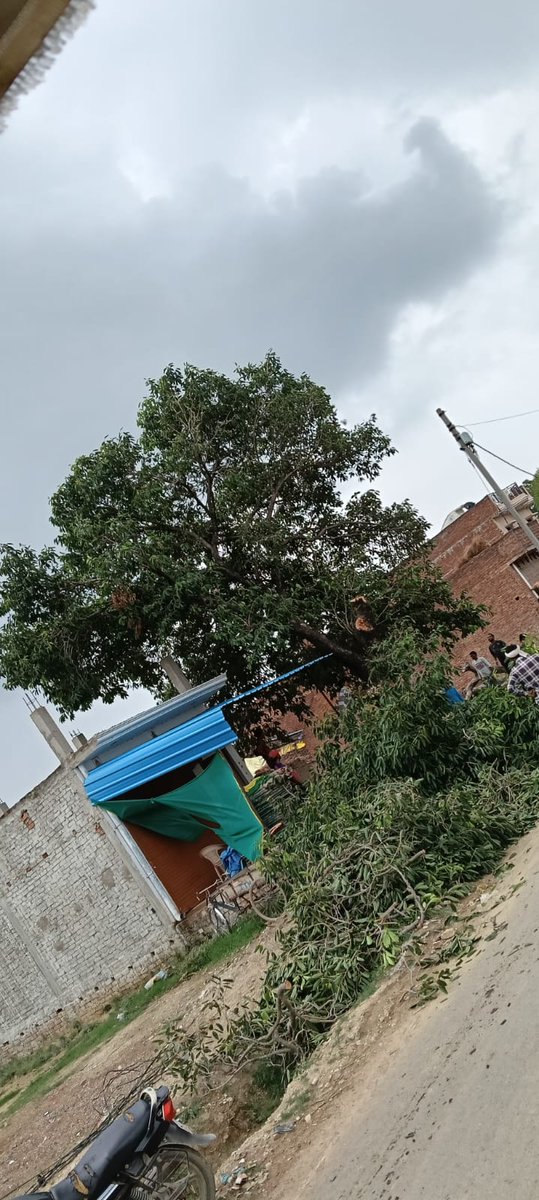 Journalist_Akh's tweet photo. प्रयागराज
पूरामुफ्ती थाना क्षेत्र के जनका गांव में दिनदहाड़े मुख्य सड़क किनारे हरे पेड़ों की कटाई जारी
आखिर किसके संरक्षण में चल रहा यह खेल
सूत्र.सुभाष पटेल व महेंद्र पटेल (पुत्र अर्जुन लाल) का नाम बताया जा रहा है
@DCPCityPrj
@prayagraj_pol
@igrangealld
@UpforestUp
@UpfcForest https://t.co/5VOIVJUu8n
