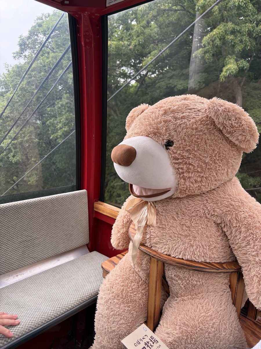 lapin623's tweet photo. の！ぼ！り！べ！つ！といえばークマ牧場！
うちのまこっちゃん、サプライズで連れてきてくれたー！昼から出たのに帰り夜中なるꉂꉂ🤣🤣🤣 https://t.co/ILCr6EyqKc