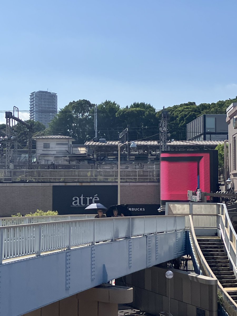 terry7575coco's tweet photo. 東京🗼着いたー🐶
目覚めるモ！楽しむ🐘
仙台ぶり😭ゆるめるモ！
東京キンチョ〜するw
#ゆるめるモ https://t.co/ZolHTiJCZu