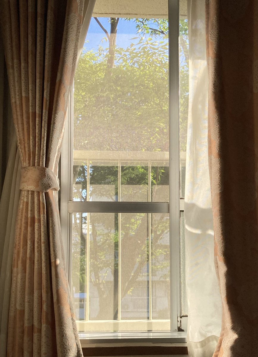 rishoryu's tweet photo. 梅雨が明けたそうである
朝方、眩しい光が入ってきた☀️
今年の梅雨☂️はそんなに
ジメジメすることなく
気温が低い日があったりと
へんな気候だなぁと…
夏が来るの、少し早くないだろうか、
セミの鳴き声も遠くで一瞬聞こえた
…猛暑酷暑は嫌だなぁ…💦 https://t.co/V9MLf8DCQ3