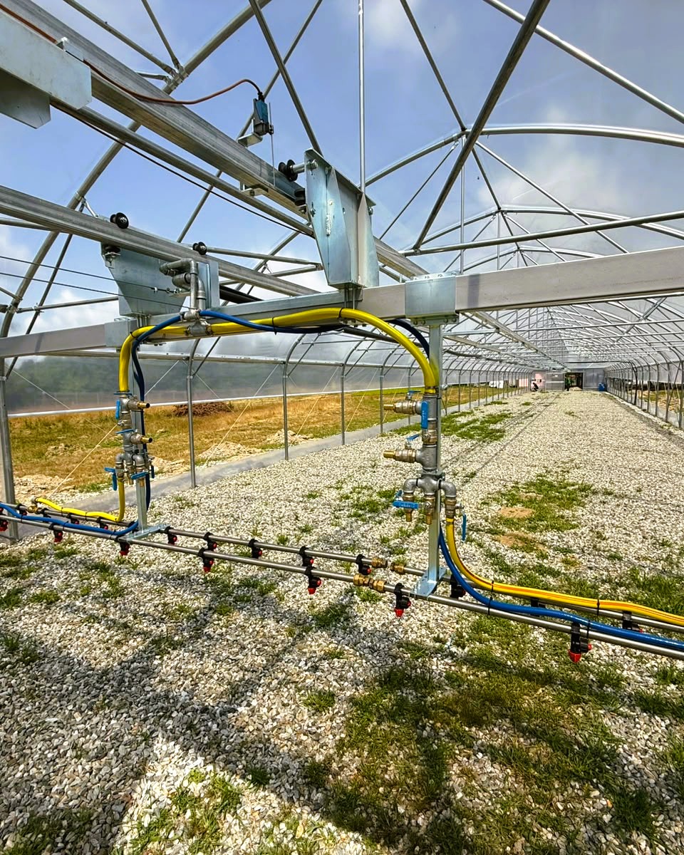 RNP_Romsilva's tweet photo. Direcția Silvică Sibiu a realizat, din fonduri proprii, un solar modern la Ocolul Silvic Avrig.
Investiție: 176.000 lei
Dimensiuni: 8 x 60 m
Capacitate: aprox. 200.000 de puieți de molid cu rădăcină protejată
#Romsilva #Sibiu #Avrig #PepiniereSilvice https://t.co/FgWxFI5qo3