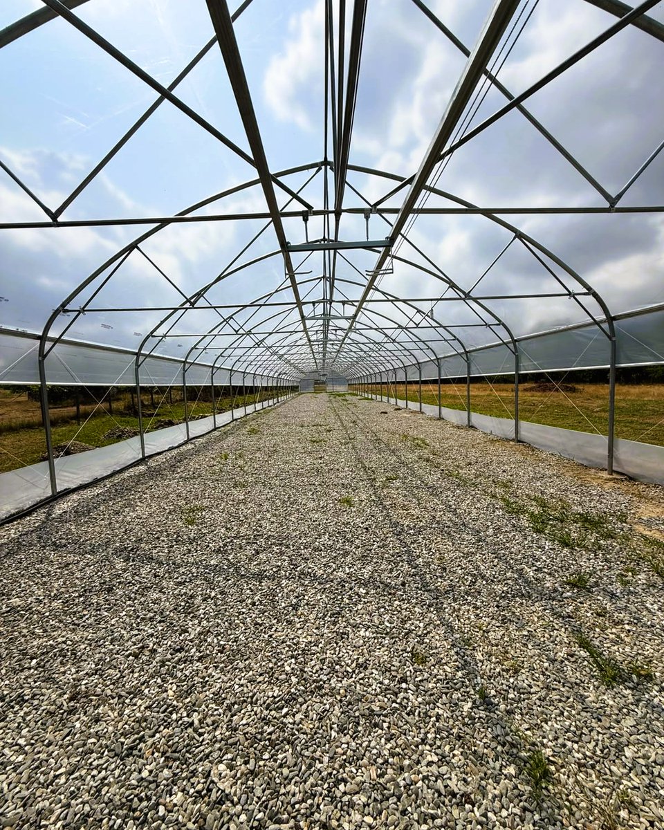 RNP_Romsilva's tweet photo. Direcția Silvică Sibiu a realizat, din fonduri proprii, un solar modern la Ocolul Silvic Avrig.
Investiție: 176.000 lei
Dimensiuni: 8 x 60 m
Capacitate: aprox. 200.000 de puieți de molid cu rădăcină protejată
#Romsilva #Sibiu #Avrig #PepiniereSilvice https://t.co/FgWxFI5qo3