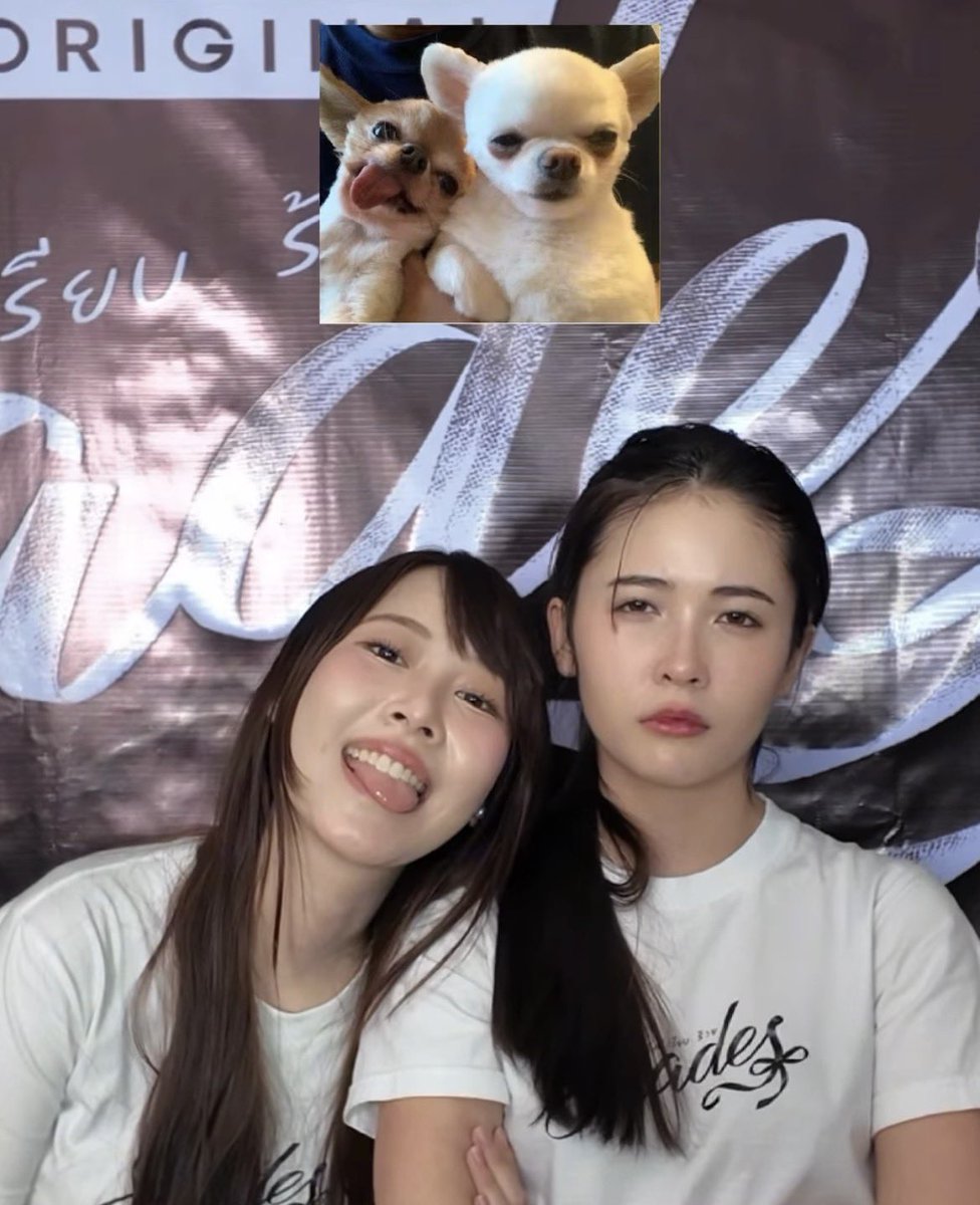 peachiipunch's tweet photo. คู่ไหนตรงเรฟสุด 💯⁉️

#nikyengland #puyfaiploy #opalmint https://t.co/9wBI32J9IH