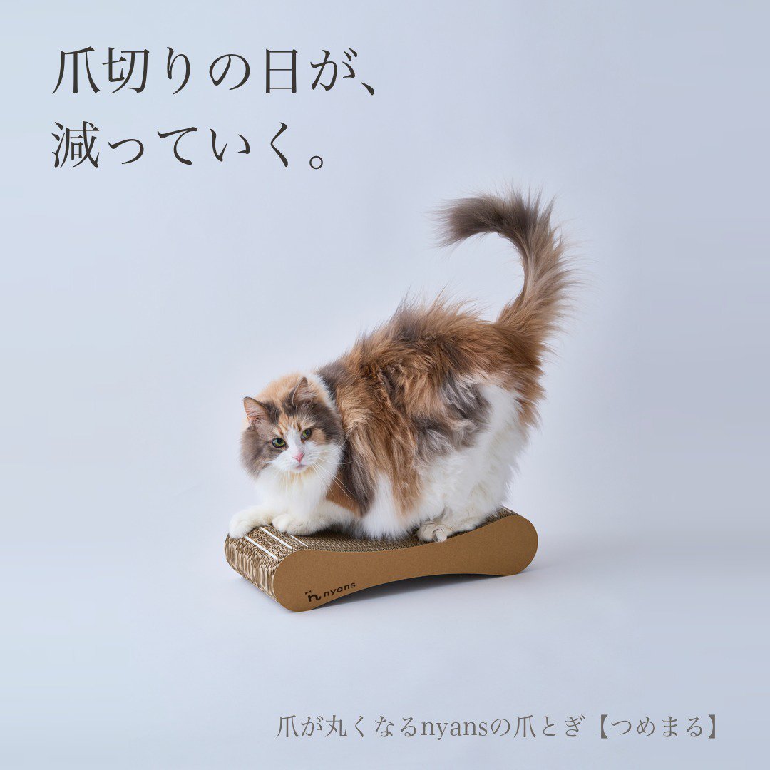 nyansinc's tweet photo. その爪切り続けますか？
猫にとってもストレスな爪切り、できるだけ減らしたいと思いませんか？

【つめまる】なら研ぐだけで爪が自然と丸くなる。
研ぎカスも出にくく、掃除も楽。

爪とぎの中に"やすり"搭載の新発想の爪とぎ。
シリーズ累計8万台突破、獣医師も推薦。