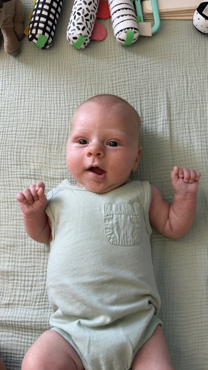 allsninthewild's tweet photo. Told her she gets to eat in 5 minutes 🥛 https://t.co/pseN9qYDis