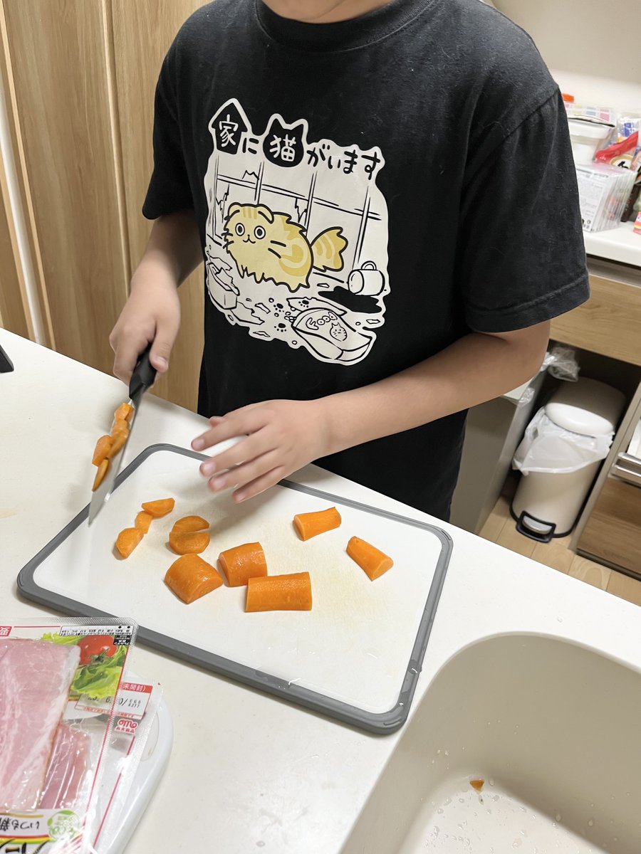 zange_nunokai's tweet photo. 130を過ぎたらヘンテコＴシャツを着るのです
歩くヘンテコになれます https://t.co/foja0Ba1BN