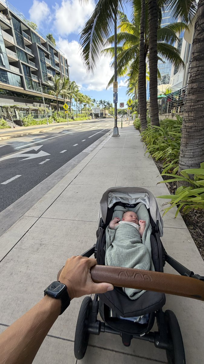 allsninthewild's tweet photo. Walks 💗

Especially good with some grounding and seed-oil free cheesecake https://t.co/2zzC3z6zlH