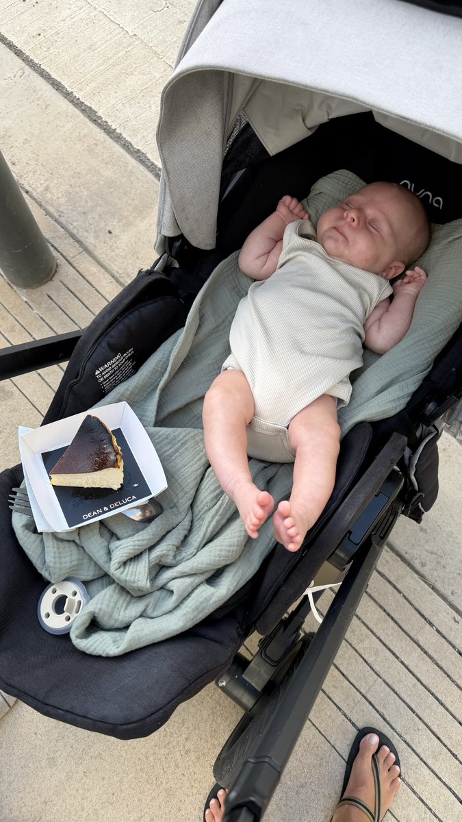 allsninthewild's tweet photo. Walks 💗

Especially good with some grounding and seed-oil free cheesecake https://t.co/2zzC3z6zlH