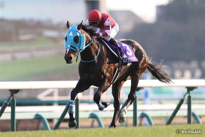 keibalab's tweet photo. 【王者を超えていく】
今週末のJRA、出走馬が確定しました。日曜の福島5R・2歳新馬ではタクミオジュウが池添謙一騎手を背にデビュー。

父は最強ジャンパー・オジュウチョウサン。これが産駒の初出走となります。
#タクミオジュウ #池添謙一 #オジュウチョウサン
https://t.co/vVFUjrxCo8 https://t.co/Dh629PH5aX